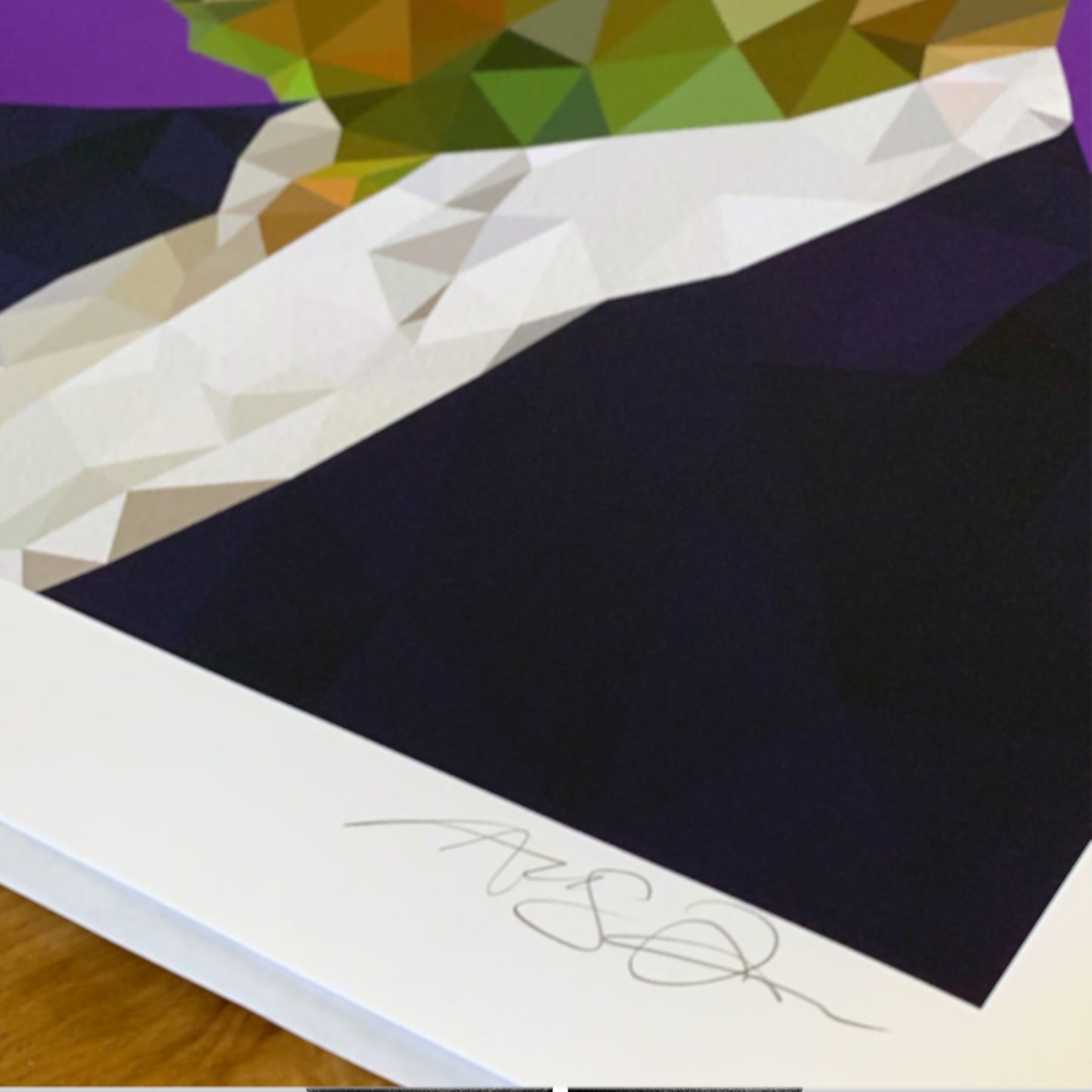 Angie Jones Detail 02 The Multiplier Giclee Limited Edition