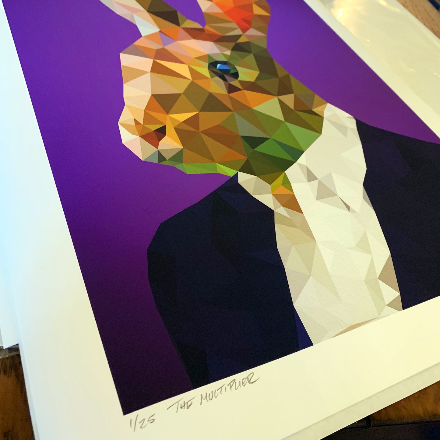 Angie Jones Detail 01 The Multiplier Giclee Limited Edition